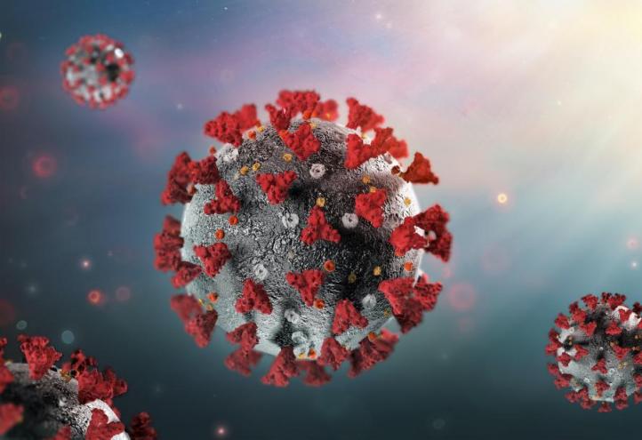 covid19