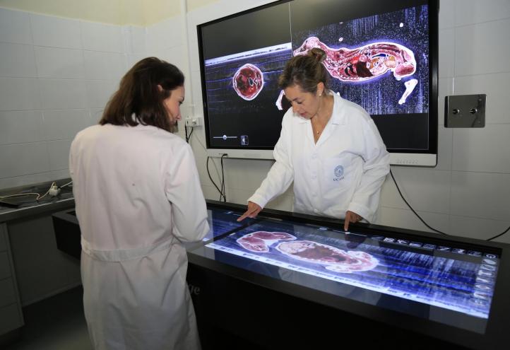 Mesa de disección anatómica veterinaria virtual