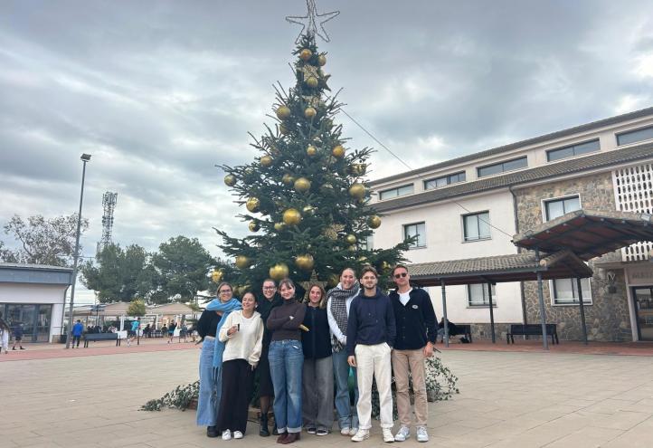 Navidad, Familia, Vacaciones