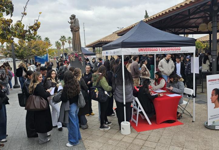 Universidad y discapacidad