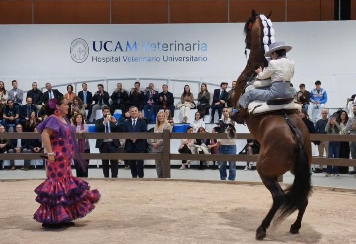 Hospital Veterinario