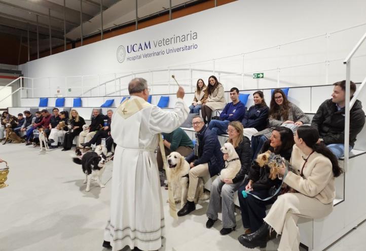 Bendición de animales