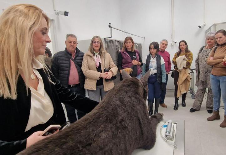 Veterinaria UCAM Hospital