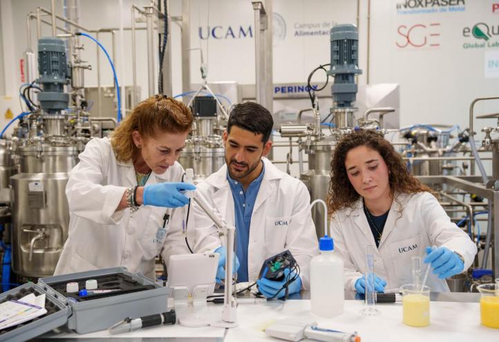 El Campus de Murcia dispone de unas completas instalaciones, incluyendo una Planta Piloto de Procesado de Alimentos o su GastroLab.
