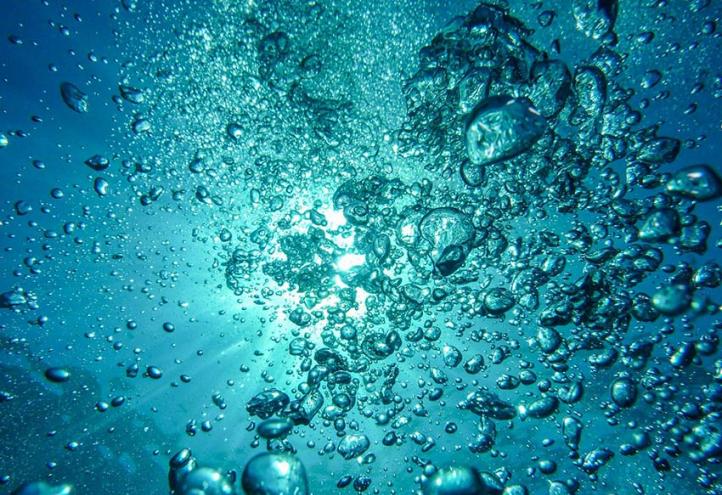 La UCAM y el Instituto Marítimo Español crean la Cátedra del Mar