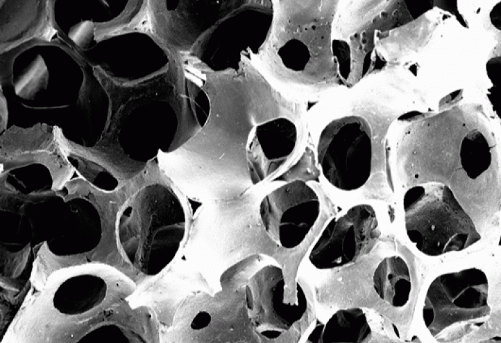 Investigadores de la UCAM mejoran la cicatrización del hueso al incorporar por primera vez colágeno