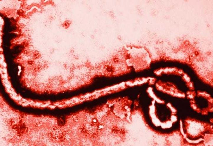 La Comunicación, estrategia para abordar con eficacia las alarmas sociales: ante el Ébola, ¿Alerta o Alarma?