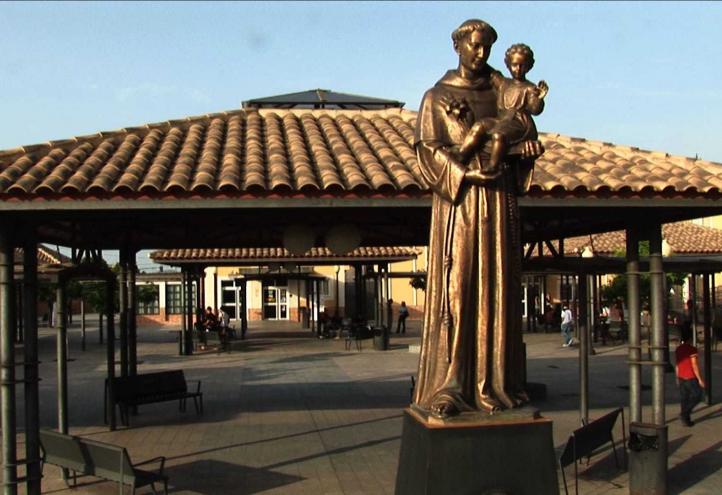 El Consejo de Universidades verifica positivamente el Grado en Medicina de la UCAM