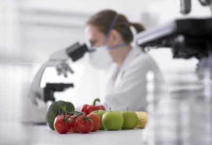 Una investigadora de la UCAM colabora con el Reina Sofía en estudio sobre pacientes críticos