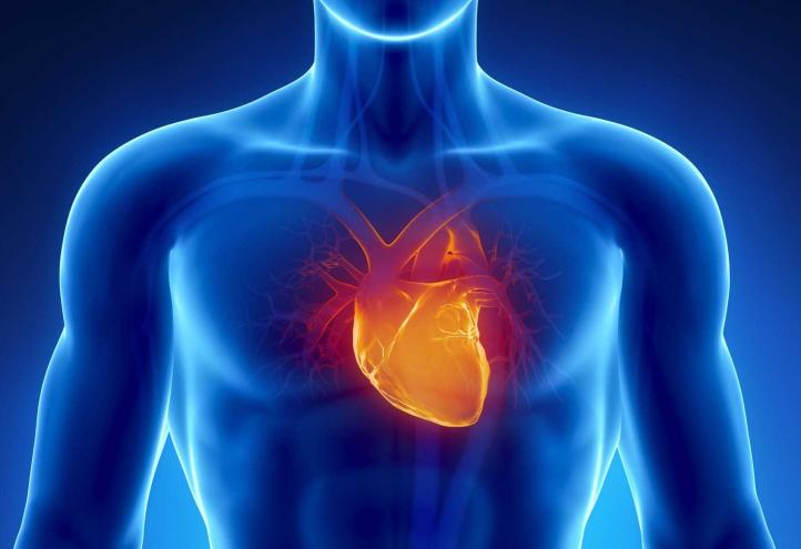 “Los españoles tenemos una alta tasa de factores descontrolados de riesgo cardiovascular”