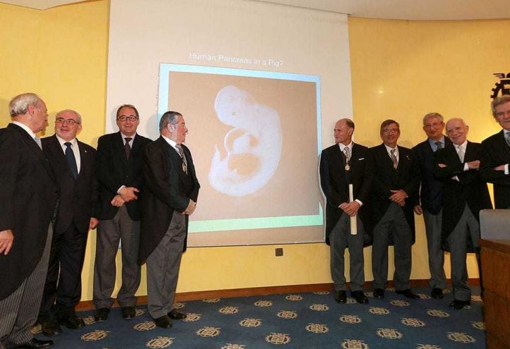 El doctor Izpisua, miembro de Honor de la Real Academia de Medicina y Cirugía