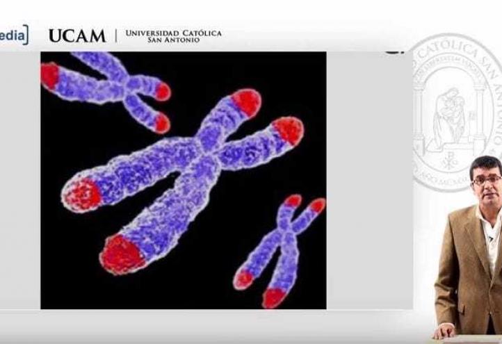 Más de 60 mil personas se han inscrito ya en los cursos MOOC