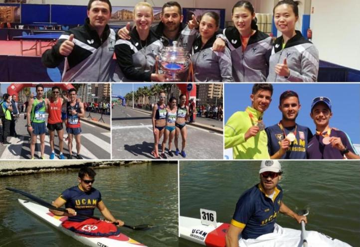 Lluvia de éxitos para los deportistas de la UCAM