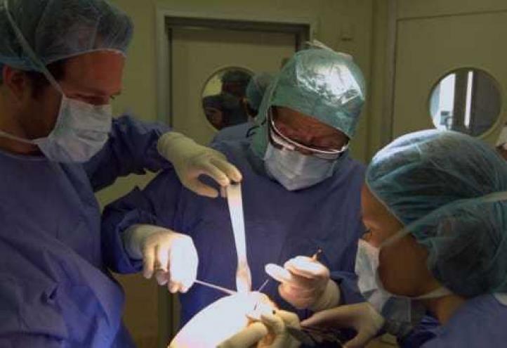 Un claustro de excelencia