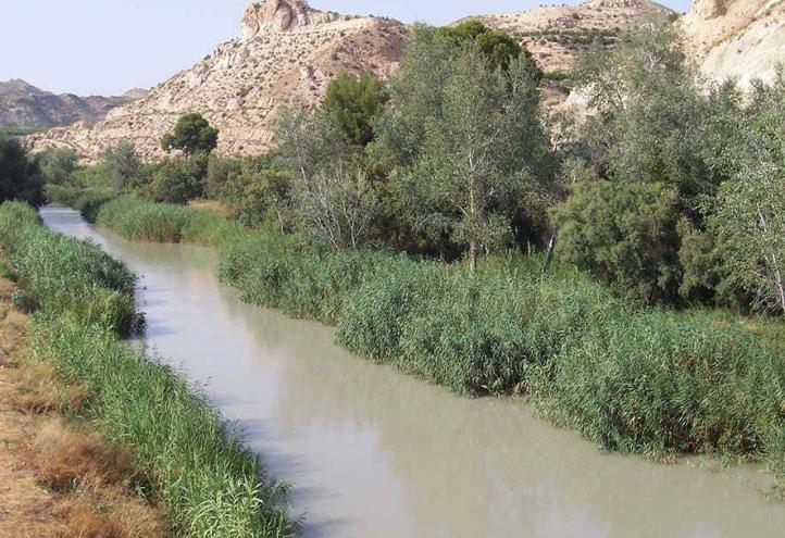 Investigadores de la Universidad estudiarán los recursos hídricos de la cuenca del Segura