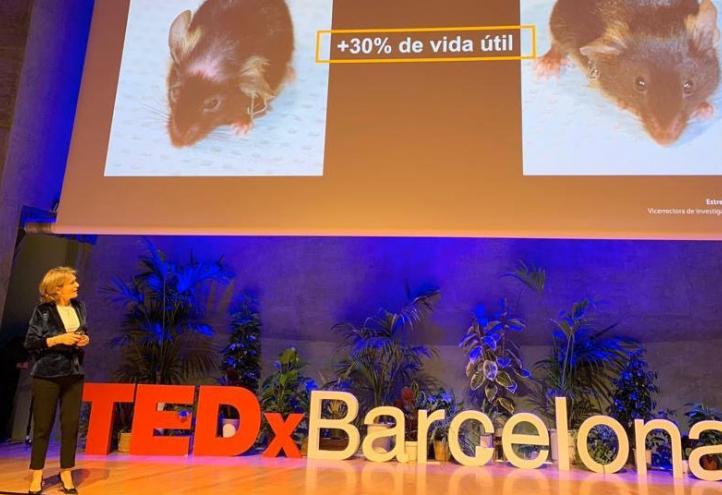 TEDx destaca las investigaciones de la UCAM para revertir el envejecimiento