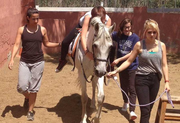 Terapia ocupacional para mejorar la vida de los demás 