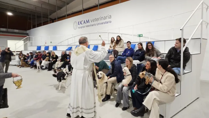 Bendición de animales