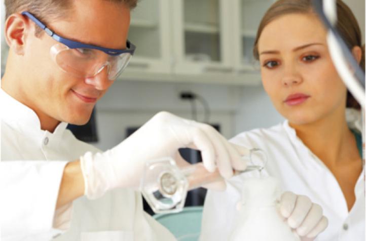 Grupos de Investigación