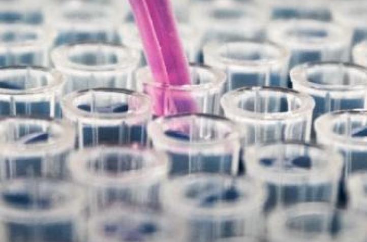 Vicerrectorado de Investigación