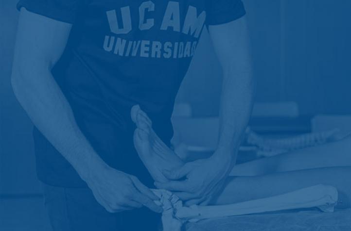 Facultad de Fisioterapia, Podología y Terapia Ocupacional